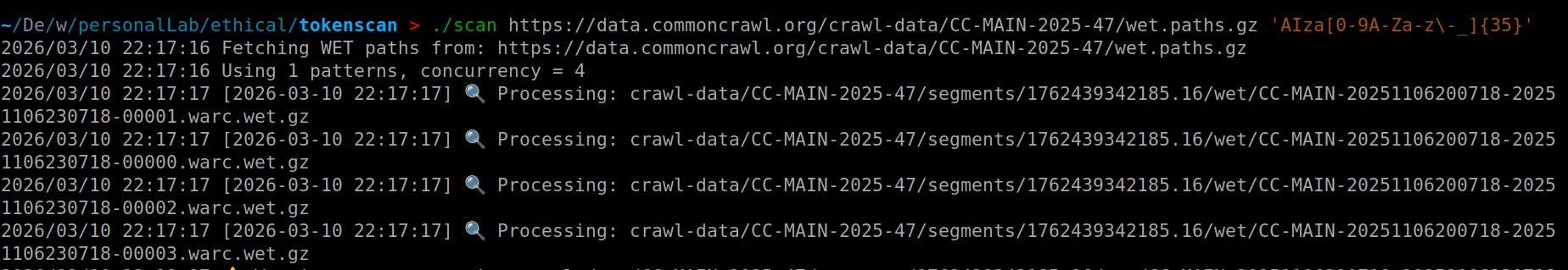 Scanning for tokens in crawl data